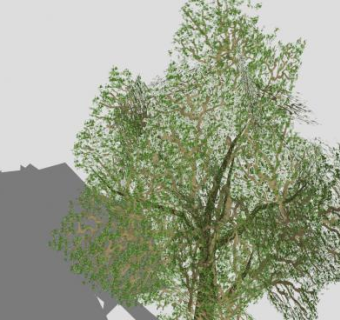 纹理树叶树木SU模型下载_sketchup草图大师SKP模型