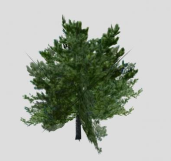 棕榈科树木SU模型下载_sketchup草图大师SKP模型