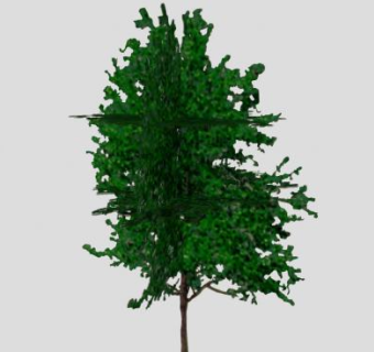 木本植物树木SU模型下载_sketchup草图大师SKP模型