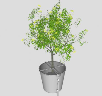 铁盆栽固定小乔木SU模型下载_sketchup草图大师SKP模型