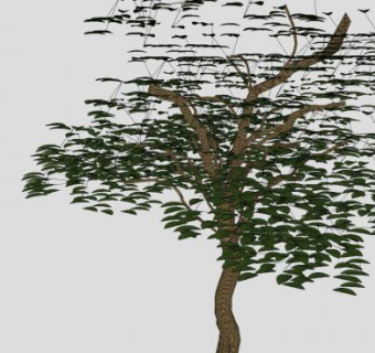 乔木灌木植物SU模型下载_sketchup草图大师SKP模型