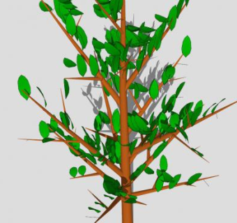 绿叶树木SU模型下载_sketchup草图大师SKP模型