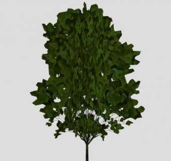 绿色植物乔木SU模型下载_sketchup草图大师SKP模型
