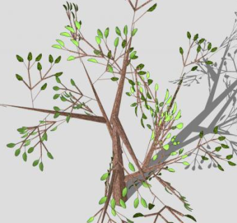 稀疏树叶树木SU模型下载_sketchup草图大师SKP模型