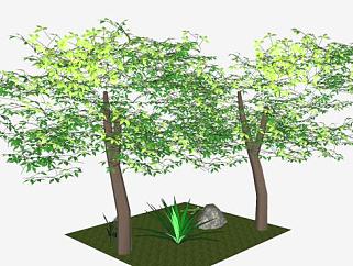 森林里的花草树木SU模型下载_sketchup草图大师SKP模型
