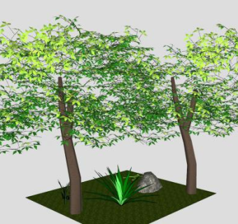 森林里的花草树木SU模型下载_sketchup草图大师SKP模型