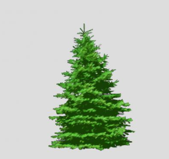 塔型松树常绿树SU模型下载_sketchup草图大师SKP模型
