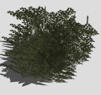 阔叶树青树SU模型下载_sketchup草图大师SKP模型