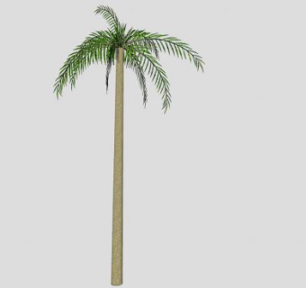 叶羽状椰子树SU模型下载_sketchup草图大师SKP模型