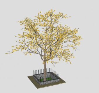 城市绿化围砖乔木SU模型下载_sketchup草图大师SKP模型