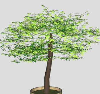 城市绿带围砖绿叶乔木SU模型下载_sketchup草图大师SKP模型