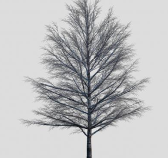 雪地落叶枯树乔木SU模型下载_sketchup草图大师SKP模型