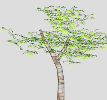 Y树干乔木绿叶树木SU模型下载_sketchup草图大师SKP模型