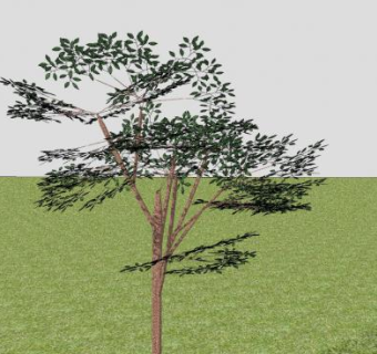 绿地草坪树木SU模型下载_sketchup草图大师SKP模型
