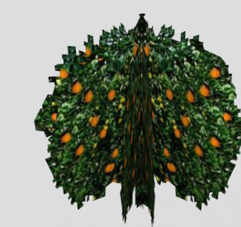 柑橘属植物香橙果树SU模型下载_sketchup草图大师SKP模型