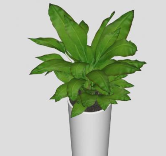 陶瓷单子叶植物盆栽SU模型下载_sketchup草图大师SKP模型