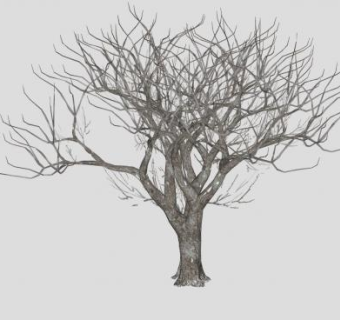 落叶枯树乔木SU模型下载_sketchup草图大师SKP模型