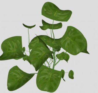 绿叶草本植物SU模型下载_sketchup草图大师SKP模型