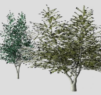 果树果实乔木SU模型下载_sketchup草图大师SKP模型