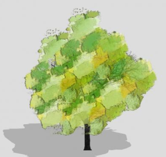 绘画水彩树SU模型下载_sketchup草图大师SKP模型