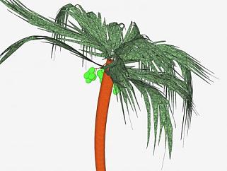 有椰果的椰子<em>树</em>SU模型下载_sketchup草图大师SKP模型