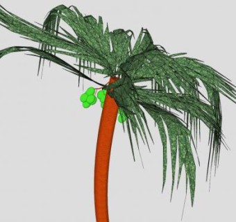 有椰果的椰子树SU模型下载_sketchup草图大师SKP模型