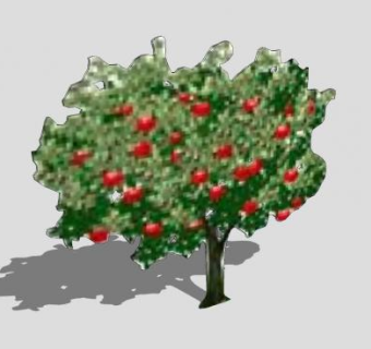 苹果树果树SU模型下载_sketchup草图大师SKP模型