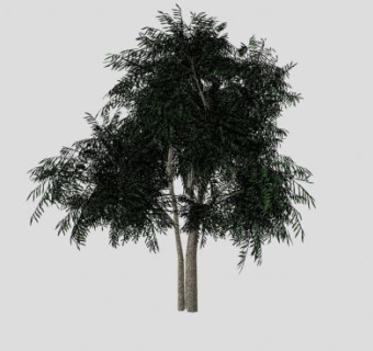 园林观赏植物柳树SU模型下载_sketchup草图大师SKP模型