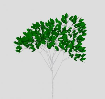 户外观赏阔叶树SU模型下载_sketchup草图大师SKP模型