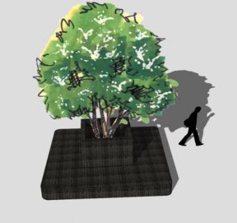 城市绿荫景观树SU模型下载_sketchup草图大师SKP模型