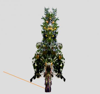 苹果树乔木SU模型下载_sketchup草图大师SKP模型