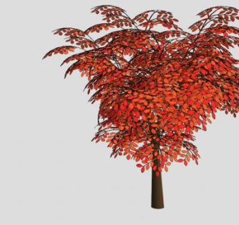 秋天红色阔叶树SU模型下载_sketchup草图大师SKP模型