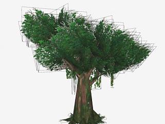 <em>热带</em>雨林的常青树SU模型下载_sketchup草图大师SKP模型