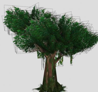 热带雨林的常青树SU模型下载_sketchup草图大师SKP模型