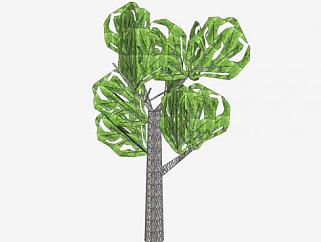 绿色树叶常绿树SU模型下载_sketchup草图大师SKP模型
