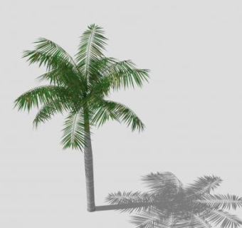 棕榈科椰子树SU模型下载_sketchup草图大师SKP模型