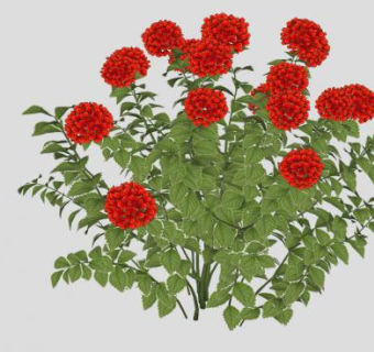 红色花卉花本植物SU模型下载_sketchup草图大师SKP模型