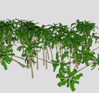 棕榈树林SU模型下载_sketchup草图大师SKP模型