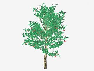 蔷薇科植物<em>苹果</em>树SU模型下载_sketchup草图大师SKP模型