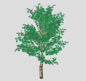 蔷薇科植物苹果树SU模型下载_sketchup草图大师SKP模型