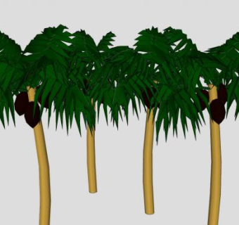 长果实的棕榈树SU模型下载_sketchup草图大师SKP模型