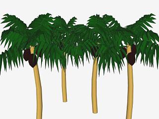 长果实的<em>棕榈树</em>SU模型下载_sketchup草图大师SKP模型