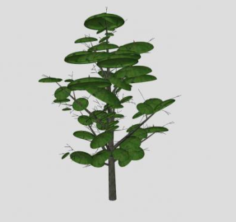 圆叶绿叶乔木SU模型下载_sketchup草图大师SKP模型