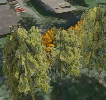 城市道路绿荫树SU模型下载_sketchup草图大师SKP模型