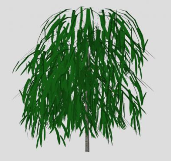 稀乔木柳树SU模型下载_sketchup草图大师SKP模型