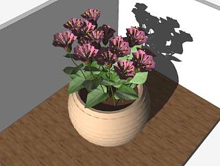 陶瓷盆栽紫色花卉SU模型下载_sketchup草图大师SKP模型