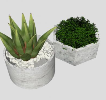 室外砖石盆栽观叶植物SU模型下载_sketchup草图大师SKP模型