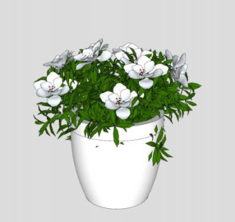 白色盆栽观花观叶植物SU模型下载_sketchup草图大师SKP模型