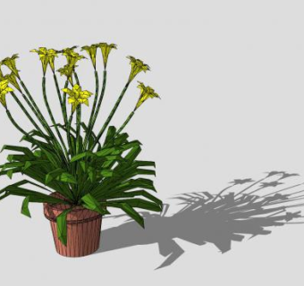 黄花植物花盆SU模型下载_sketchup草图大师SKP模型