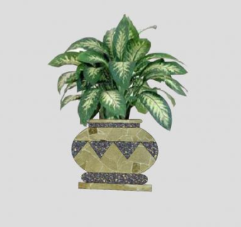 瓷器花瓶观叶植物SU模型下载_sketchup草图大师SKP模型
